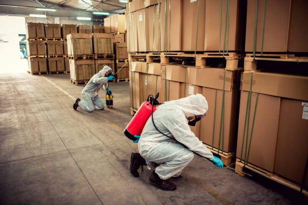 Best Pest Control Near Me  in Macon, MO